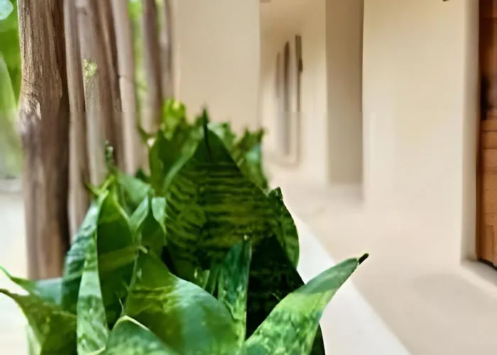 Apartment Casa Makram